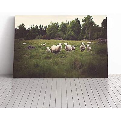 Big Box Art Curious Sheep Landscape Canvas Print Gallery Wrapped 30mm Frame Wall Art 24x16 inches Ready to Hang Modern Animals Picture Living Room Bedroom Lounge Office Big Box Art Curious Sheep Landscape Canvas Print Gallery Wrapped 30mm Frame Wall Art 24x16 inches Ready to Hang Modern Animals Picture Living Room Bedroom Lounge Office