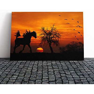 Big Box Art Wild Horse Sunset Birds Canvas Print Gallery Wrapped 30mm Frame Wall Art 30x20 inches Ready to Hang Modern Animals Picture Living Room Bedroom Lounge Office Big Box Art Wild Horse Sunset Birds Canvas Print Gallery Wrapped 30mm Frame Wall Art 30x20 inches Ready to Hang Modern Animals Picture Living Room Bedroom Lounge Office