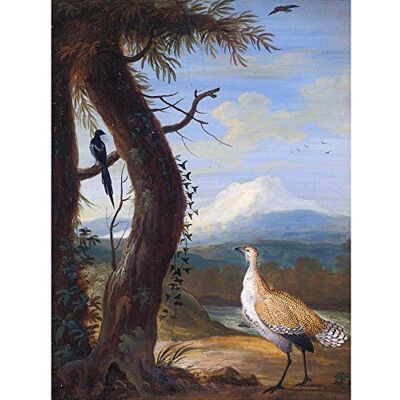 Fine Art Prints Agricola Bustard Magpie Exotic Landscape Painting Vintage Extra Large Art Print Wall Mural Poster Premium XL Fine Art Prints Agricola Bustard Magpie Exotic Landscape Painting Vintage Extra Large Art Print Wall Mural Poster Premium XL
