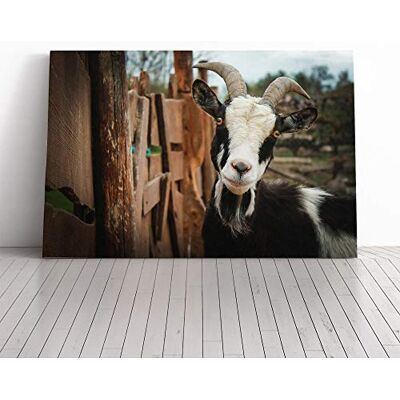 Big Box Art Goat Vol.3 Canvas Print Gallery Wrapped 30mm Frame Wall Art 24x16 inches Ready to Hang Modern Animals Picture Living Room Bedroom Lounge Office Big Box Art Goat Vol.3 Canvas Print Gallery Wrapped 30mm Frame Wall Art 24x16 inches Ready to Hang Modern Animals Picture Living Room Bedroom Lounge Office