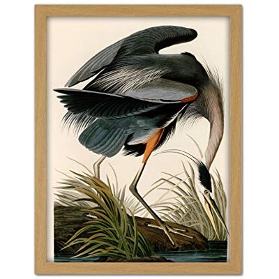 Artery8 Audubon Birds Great Blue Heron Painting Artwork Framed Wall Art Print 18X24 Inch Artery8 Audubon Birds Great Blue Heron Painting Artwork Framed Wall Art Print 18X24 Inch