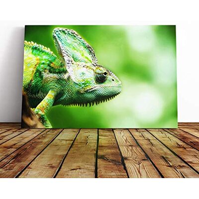 Big Box Art Chameleon Lizard (1) Canvas Print Gallery Wrapped 30mm Frame Wall Art 30x20 inches Ready to Hang Modern Animals Picture Living Room Bedroom Lounge Office Big Box Art Chameleon Lizard (1) Canvas Print Gallery Wrapped 30mm Frame Wall Art 30x20 inches Ready to Hang Modern Animals Picture Living Room Bedroom Lounge Office