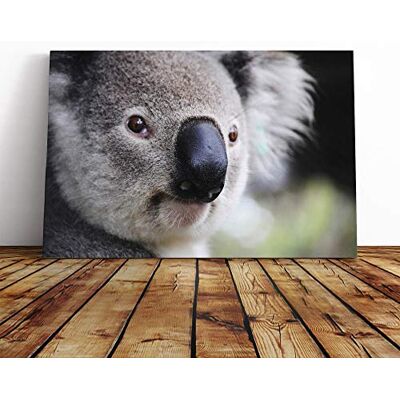 Big Box Art Koala Bear Canvas Print Gallery Wrapped 30mm Frame Wall Art 24x16 inches Ready to Hang Modern Animals Picture Living Room Bedroom Lounge Office Big Box Art Koala Bear Canvas Print Gallery Wrapped 30mm Frame Wall Art 24x16 inches Ready to Hang Modern Animals Picture Living Room Bedroom Lounge Office