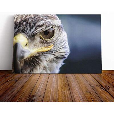 Big Box Art Falcon Bird (1) Canvas Print Gallery Wrapped 30mm Frame Wall Art 30x20 inches Ready to Hang Modern Animals Picture Living Room Bedroom Lounge Office Big Box Art Falcon Bird (1) Canvas Print Gallery Wrapped 30mm Frame Wall Art 30x20 inches Ready to Hang Modern Animals Picture Living Room Bedroom Lounge Office