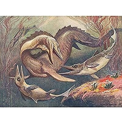 Fine Art Prints Harder Mosasaurus Ichthyosaurs Prehistoric Marine Painting Art Print Canvas Premium Wall Decor Poster Mural Fine Art Prints Harder Mosasaurus Ichthyosaurs Prehistoric Marine Painting Art Print Canvas Premium Wall Decor Poster Mural