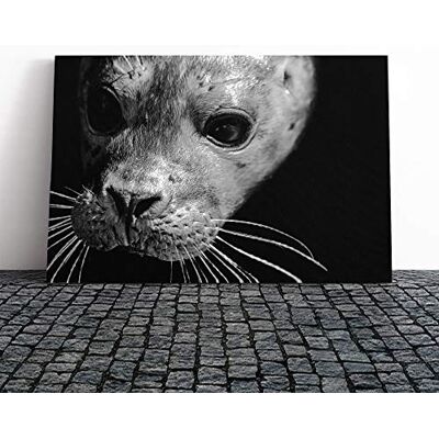 Big Box Art Seal Canvas Print Gallery Wrapped 30mm Frame Wall Art 20x14 inches Ready to Hang Modern Animals Picture Living Room Bedroom Lounge Office Big Box Art Seal Canvas Print Gallery Wrapped 30mm Frame Wall Art 20x14 inches Ready to Hang Modern Animals Picture Living Room Bedroom Lounge Office