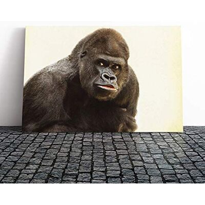 Big Box Art Silverback Gorilla (3) Canvas Print Gallery Wrapped 30mm Frame Wall Art 20x14 inches Ready to Hang Modern Animals Picture Living Room Bedroom Lounge Office Big Box Art Silverback Gorilla (3) Canvas Print Gallery Wrapped 30mm Frame Wall Art 20x14 inches Ready to Hang Modern Animals Picture Living Room Bedroom Lounge Office