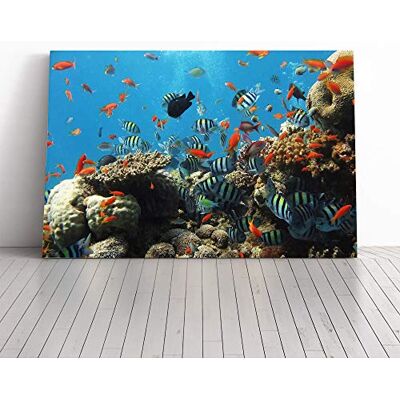 Big Box Art Fish Coral Reef Canvas Print Gallery Wrapped 30mm Frame Wall Art 30x20 inches Ready to Hang Modern Animals Picture Living Room Bedroom Lounge Office Big Box Art Fish Coral Reef Canvas Print Gallery Wrapped 30mm Frame Wall Art 30x20 inches Ready to Hang Modern Animals Picture Living Room Bedroom Lounge Office