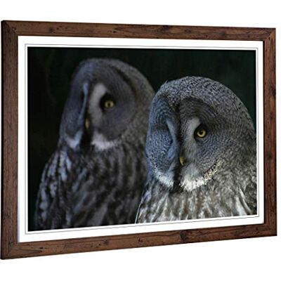 Big Box Art Framed Print of Dark Grey Owls Birds Design Wall Art Picture Home Decor for Kitchen, Living, Dining Room, Lounge, Bedroom, Hallway, Office, Walnut, A2 / 24.5x18 Inch / 62x45cm Big Box Art Framed Print of Dark Grey Owls Birds Design Wall Art Picture Home Decor for Kitchen, Living, Dining Room, Lounge, Bedroom, Hallway, Office, Walnut, A2 / 24.5x18 Inch / 62x45cm