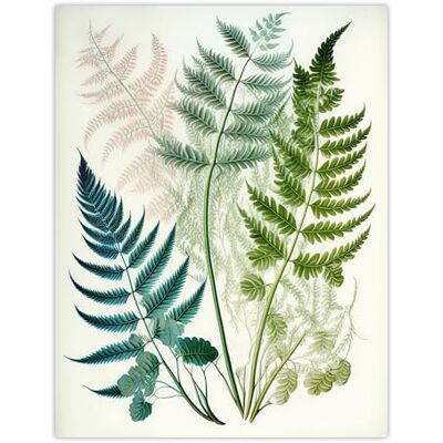 Wee Blue Coo Elegant Fern Fronds Foliage Linocut Artwork Green Teal Pink Bright Botanical Nature Extra Large XL Wall Art Poster Print Wee Blue Coo Elegant Fern Fronds Foliage Linocut Artwork Green Teal Pink Bright Botanical Nature Extra Large XL Wall Art Poster Print