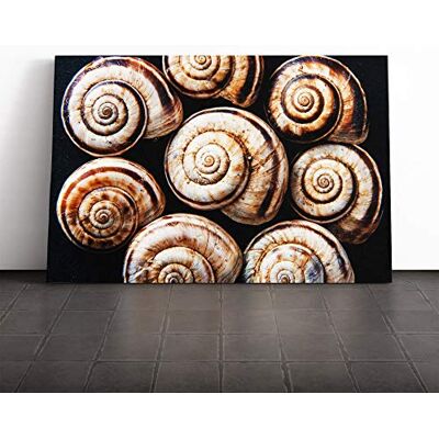 Big Box Art Snail Shells Vol.3 Canvas Print Gallery Wrapped 30mm Frame Wall Art 20x14 inches Ready to Hang Modern Animals Picture Living Room Bedroom Lounge Office Big Box Art Snail Shells Vol.3 Canvas Print Gallery Wrapped 30mm Frame Wall Art 20x14 inches Ready to Hang Modern Animals Picture Living Room Bedroom Lounge Office