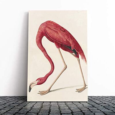 Big Box Art John James Audubon Flamingo Canvas Print Gallery Wrapped 30mm Frame Wall Art 30x20 inches Ready to Hang Modern Animals Picture Living Room Bedroom Lounge Office Big Box Art John James Audubon Flamingo Canvas Print Gallery Wrapped 30mm Frame Wall Art 30x20 inches Ready to Hang Modern Animals Picture Living Room Bedroom Lounge Office