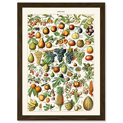 Artery8 - Millot - Grape Pineapple - A4 - Wall Art Print Artery8 - Millot - Grape Pineapple - A4 - Wall Art Print