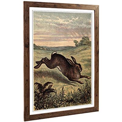 Big Box Art Framed Print of Vintage Tame Animals Hare Design Wall Art Picture Home Decor for Kitchen, Living, Dining Room, Bedroom, Hallway, Office, Walnut, A2 / 24.5x18 Inch / 62x45cm Big Box Art Framed Print of Vintage Tame Animals Hare Design Wall Art Picture Home Decor for Kitchen, Living, Dining Room, Bedroom, Hallway, Office, Walnut, A2 / 24.5x18 Inch / 62x45cm
