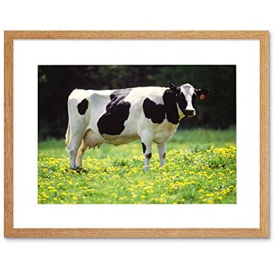 Wee Blue Coo Nature Agriculture Farm Animal Cow Friesian Field Framed Wall Art Print Wee Blue Coo Nature Agriculture Farm Animal Cow Friesian Field Framed Wall Art Print