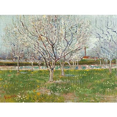 Fine Art Prints Vincent Van Gogh Orchard In Blossom Plum Trees Large Art Print Poster Wall Decor Premium Mural Fine Art Prints Vincent Van Gogh Orchard In Blossom Plum Trees Large Art Print Poster Wall Decor Premium Mural