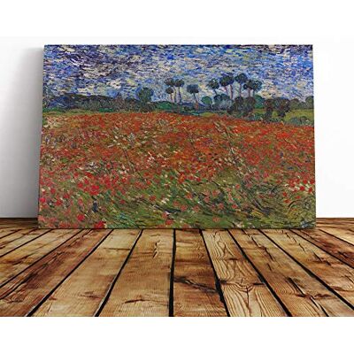 Big Box Art Vincent Van Gogh Poppy Field Canvas Print Gallery Wrapped 30mm Frame Wall Art 20x14 inches Ready to Hang Modern Floral Picture Living Room Bedroom Lounge Office Big Box Art Vincent Van Gogh Poppy Field Canvas Print Gallery Wrapped 30mm Frame Wall Art 20x14 inches Ready to Hang Modern Floral Picture Living Room Bedroom Lounge Office