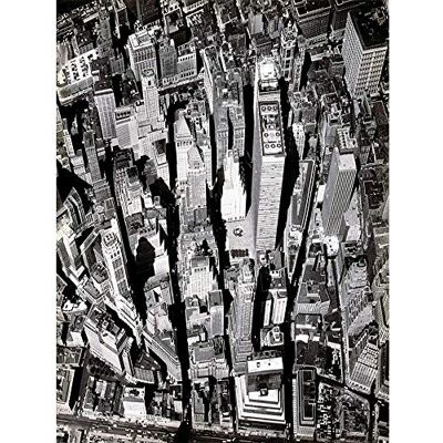 Wee Blue Coo Black White Photography Aerial View Manhattan New York City Art Print Poster Wall Decor 12X16 Inch Wee Blue Coo Black White Photography Aerial View Manhattan New York City Art Print Poster Wall Decor 12X16 Inch