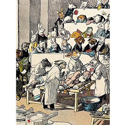 Artery8 Blatter Human Vivisection Animals Satire Illustration Large Wall Art Poster Print Thick Paper 18X24 Inch Artery8 Blatter Human Vivisection Animals Satire Illustration Large Wall Art Poster Print Thick Paper 18X24 Inch