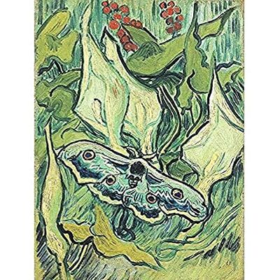 Fine Art Prints Vincent Van Gogh Emperor Moth Unframed Wall Art Print Poster Home Decor Premium Fine Art Prints Vincent Van Gogh Emperor Moth Unframed Wall Art Print Poster Home Decor Premium