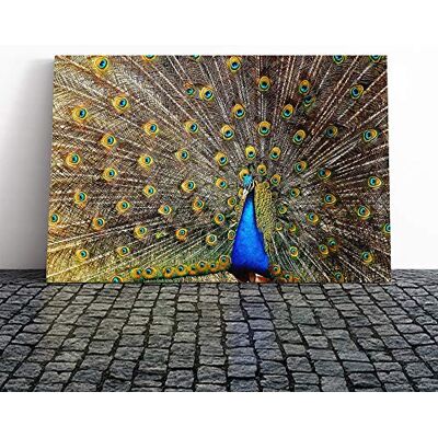Big Box Art Peacock Bird Vol.4 Canvas Print Gallery Wrapped 30mm Frame Wall Art 20x14 inches Ready to Hang Modern Animals Picture Living Room Bedroom Lounge Office Big Box Art Peacock Bird Vol.4 Canvas Print Gallery Wrapped 30mm Frame Wall Art 20x14 inches Ready to Hang Modern Animals Picture Living Room Bedroom Lounge Office