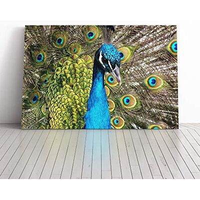 Big Box Art Peacock Bird Canvas Print Gallery Wrapped 30mm Frame Wall Art 20x14 inches Ready to Hang Modern Animals Picture Living Room Bedroom Lounge Office Big Box Art Peacock Bird Canvas Print Gallery Wrapped 30mm Frame Wall Art 20x14 inches Ready to Hang Modern Animals Picture Living Room Bedroom Lounge Office