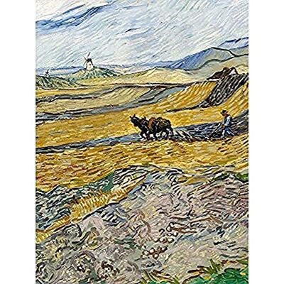 Fine Art Prints Van Gogh Enclosed Field Ploughman Painting Art Print Canvas Premium Wall Decor Poster Mural Fine Art Prints Van Gogh Enclosed Field Ploughman Painting Art Print Canvas Premium Wall Decor Poster Mural