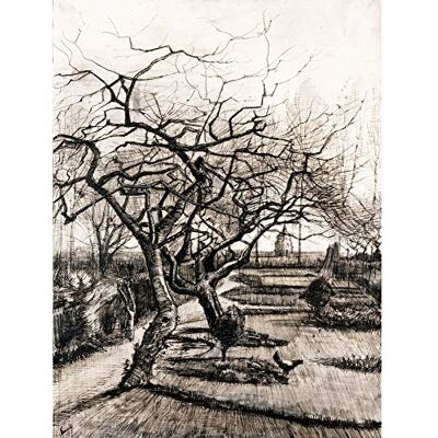 Fine Art Prints Vincent Van Gogh The Parsonage Garden At Nuenen In Winter Large Wall Art Print Canvas Premium Poster Mural Fine Art Prints Vincent Van Gogh The Parsonage Garden At Nuenen In Winter Large Wall Art Print Canvas Premium Poster Mural