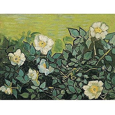 Fine Art Prints Vincent Van Gogh Wild Roses Art Print Canvas Premium Wall Decor Poster Mural Fine Art Prints Vincent Van Gogh Wild Roses Art Print Canvas Premium Wall Decor Poster Mural