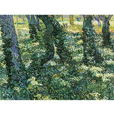 Fine Art Prints Vincent Van Gogh Undergrowth Art Print Canvas Premium Wall Decor Poster Mural Fine Art Prints Vincent Van Gogh Undergrowth Art Print Canvas Premium Wall Decor Poster Mural