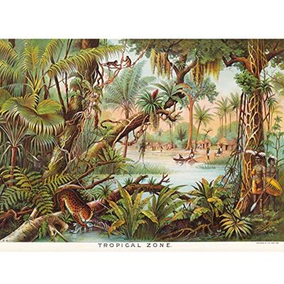 Artery8 Map Yaggy 1893 Tropical Zone Jungle Animals Large Wall Art Poster Print Thick Paper 18X24 Inch Artery8 Map Yaggy 1893 Tropical Zone Jungle Animals Large Wall Art Poster Print Thick Paper 18X24 Inch