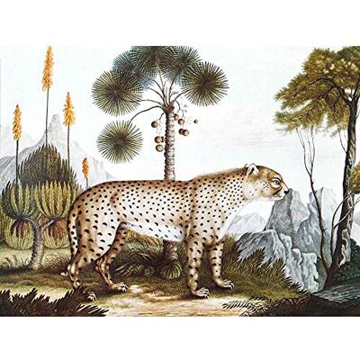 Wee Blue Coo Painting Antique Nature Zotl Cheetah Gepard Art Print Poster Wall Decor 12X16 Inch Wee Blue Coo Painting Antique Nature Zotl Cheetah Gepard Art Print Poster Wall Decor 12X16 Inch