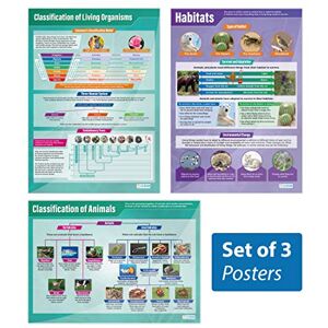 Daydream Education Animals & Habitats Posters Set of 3 Science Posters Laminated Gloss Paper measuring 850mm x 594mm (A1) Science Charts for the Classroom Education Charts by Daydream Education Animals & Habitats Posters Set of 3 Science Posters Laminated Gloss Paper measuring 850mm x 594mm (A1) Science Charts for the Classroom Education Charts by