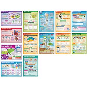 Daydream Education Biology Posters Set of 13 Science Posters Gloss Paper measuring 850mm x 594mm (A1) Science Charts for the Classroom Education Charts Daydream Education Biology Posters Set of 13 Science Posters Gloss Paper measuring 850mm x 594mm (A1) Science Charts for the Classroom Education Charts