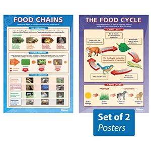 Daydream Education The Food Cycle & Food Chains Posters Set of 2 Science Posters Gloss Paper measuring 850mm x 594mm (A1) Science Charts for the Classroom Education Charts by Daydream Education The Food Cycle & Food Chains Posters Set of 2 Science Posters Gloss Paper measuring 850mm x 594mm (A1) Science Charts for the Classroom Education Charts by