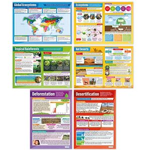 Daydream Education Ecosystems Posters Set of 6 Geography Posters Gloss Paper measuring 850mm x 594mm (A1) Geography Classroom Posters Education Charts by Daydream Education Ecosystems Posters Set of 6 Geography Posters Gloss Paper measuring 850mm x 594mm (A1) Geography Classroom Posters Education Charts by