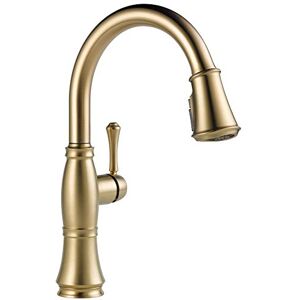 DELTA Faucet Cassidy Single-Handle Kitchen Sink Faucet with Pull Down Sprayer, ShieldSpray Technology and Magnetic Docking Spray Head, Lumicoat Champagne Bronze 9197-CZ-PR-DST DELTA Faucet Cassidy Single-Handle Kitchen Sink Faucet with Pull Down Sprayer, ShieldSpray Technology and Magnetic Docking Spray Head, Lumicoat Champagne Bronze 9197-CZ-PR-DST