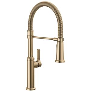 DELTA Faucet Rhett Pro Commercial Style Kitchen Faucet with Pull Down Sprayer, Gold Commercial Kitchen Faucet, Spring Kitchen Faucet, Kitchen Sink Faucet, Champagne Bronze 18829-CZ-DST DELTA Faucet Rhett Pro Commercial Style Kitchen Faucet with Pull Down Sprayer, Gold Commercial Kitchen Faucet, Spring Kitchen Faucet, Kitchen Sink Faucet, Champagne Bronze 18829-CZ-DST