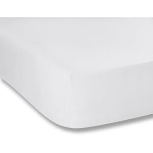 Catherine Lansfield Fantasy Sateen White Fitted sheet 150x200cm Catherine Lansfield Fantasy Sateen White Fitted sheet 150x200cm