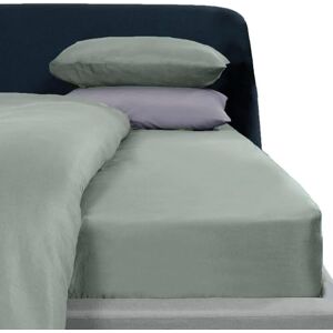 Brentfords Plain Dye Solid Colour Fitted Bed Fitted Bed Sheet Non-Iron Super Soft Easy Care Microfibre, Duck Egg Blue Super King Size Brentfords Plain Dye Solid Colour Fitted Bed Fitted Bed Sheet Non-Iron Super Soft Easy Care Microfibre, Duck Egg Blue Super King Size