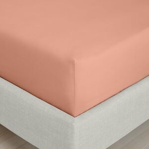 Bianca 200 Thread Count Cotton Percale Extra Deep Super King Fitted Sheet Clay Bianca 200 Thread Count Cotton Percale Extra Deep Super King Fitted Sheet Clay