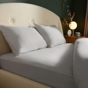 Silentnight Brushed Cotton Fitted Sheet Soft Velvety Touch 100% Cotton Cosy Warmth Feel Breathable Brushed Hypoallergenic Fitted Sheet with Elasticated Corners, Silver, Double Silentnight Brushed Cotton Fitted Sheet Soft Velvety Touch 100% Cotton Cosy Warmth Feel Breathable Brushed Hypoallergenic Fitted Sheet with Elasticated Corners, Silver, Double