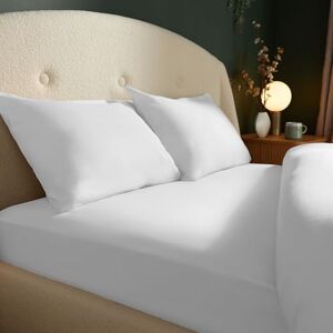 Silentnight Brushed Cotton Fitted Sheet Soft Velvety Touch 100% Cotton Cosy Warmth Feel Breathable Brushed Hypoallergenic Fitted Sheet with Elasticated Corners, White, King Silentnight Brushed Cotton Fitted Sheet Soft Velvety Touch 100% Cotton Cosy Warmth Feel Breathable Brushed Hypoallergenic Fitted Sheet with Elasticated Corners, White, King