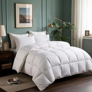 Serta Goose Feathers Down Fiber Comforter Queen Size Duvet Insert,100% Cotton,Hotel Luxury Hypoallergenic Comforter 58oz All Season Medium Warmth 90 x 90 in White Serta Goose Feathers Down Fiber Comforter Queen Size Duvet Insert,100% Cotton,Hotel Luxury Hypoallergenic Comforter 58oz All Season Medium Warmth 90 x 90 in White