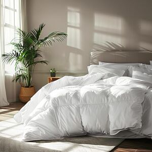 Serta Goose Feather Down Fiber Cotton Comforter Queen Size 100% Cotton Duvet Insert Hotel Luxury Hypoallergenic Bedding Comforter Extra Warmth 90 x 90 Inch White Serta Goose Feather Down Fiber Cotton Comforter Queen Size 100% Cotton Duvet Insert Hotel Luxury Hypoallergenic Bedding Comforter Extra Warmth 90 x 90 Inch White