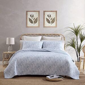 Tommy Bahama Cotton Bedding with Matching Sham, Coastal Home Decor with Textured Reverse, Blue/White, Queen Tommy Bahama Cotton Bedding with Matching Sham, Coastal Home Decor with Textured Reverse, Blue/White, Queen