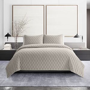 Vera Wang Quilt Set-Soft & Luxurious Velvet, Reversible & Lightweight Bedding with Matching Shams, Polyester, Natural Ivory, Queen Vera Wang Quilt Set-Soft & Luxurious Velvet, Reversible & Lightweight Bedding with Matching Shams, Polyester, Natural Ivory, Queen