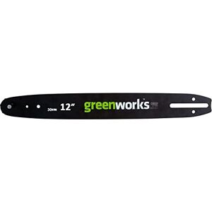 Greenworks Original Guide Bar for Chainsaw (30 cm Replacement Bar Suitable for The Chainsaws G40CS30 and GD24CS30 by ) Greenworks Original Guide Bar for Chainsaw (30 cm Replacement Bar Suitable for The Chainsaws G40CS30 and GD24CS30 by )