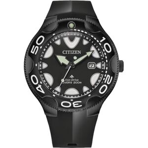 Citizen , Gents Eco-Drive Watch & Torch Set Citizen , Gents Eco-Drive Watch & Torch Set