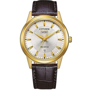 Citizen Men Analogue Eco-Drive Watch with Leather Strap AW0102-13A Citizen Men Analogue Eco-Drive Watch with Leather Strap AW0102-13A